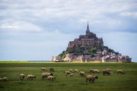 432 - MONT SAINT MICHEL - HYLLSETH TORHILD - norway <div